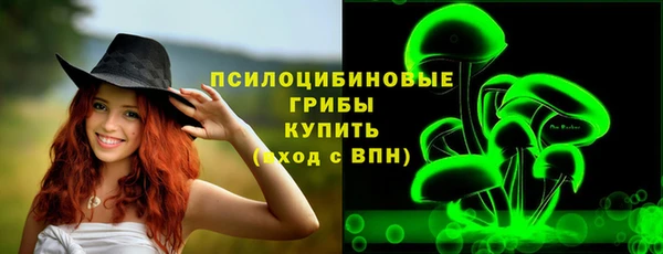 а пвп мука Алзамай