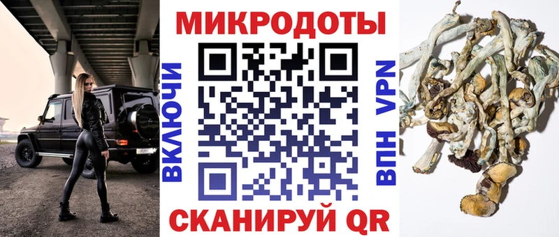 Галлюциногенные грибы Cubensis Южно-Сахалинск